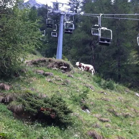 Апартаменты Nido Paradiso Ingria