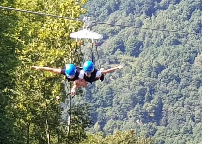 Nido Paradiso * Ingria