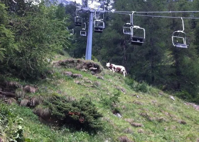 Appartement Nido Paradiso Ingria